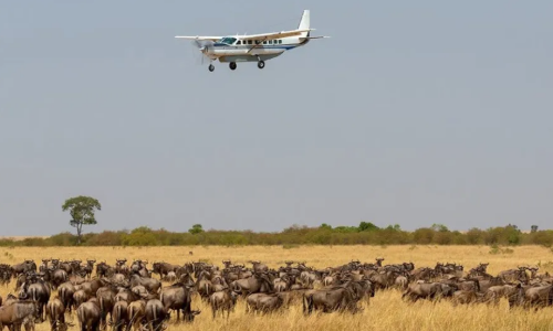 6 Days Flying Kenya Safari