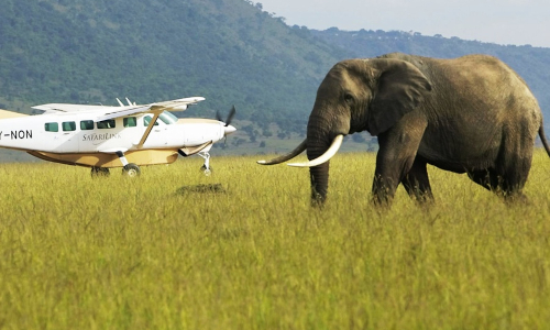 3 Days Amboseli Flying Safari