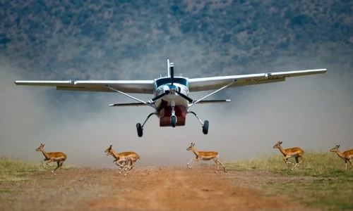 5 Days Kenya Flying Safari